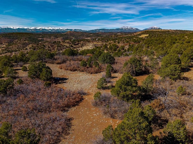 12222 Elk Run Rd, Trinidad, CO 810 : Trinidad : Las Animas County : Colorado