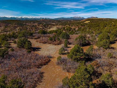 12222 Elk Run Rd, Trinidad, CO 810 : Trinidad : Las Animas County : Colorado
