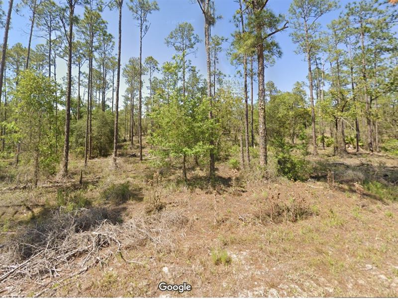 Privacy & Space Yours for $299 Down : Dunnellon : Marion County : Florida