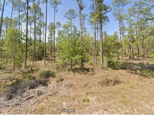 Privacy & Space Yours for $299 Down : Dunnellon : Marion County : Florida