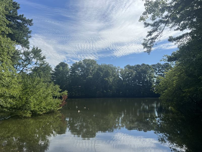 Home on 5+ Acres, Pond and Pool : Lithonia : DeKalb County : Georgia