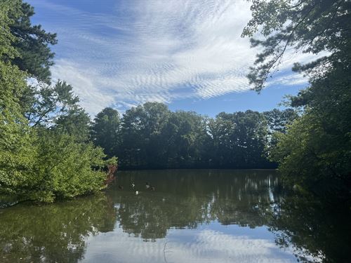 Home on 5+ Acres, Pond and Pool : Lithonia : DeKalb County : Georgia