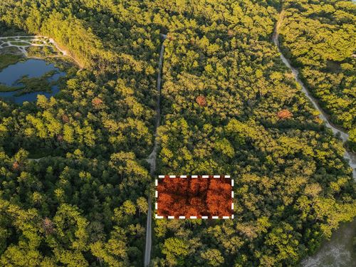 Peaceful Surroundings, Nearby Lakes : Fort Mc Coy : Marion County : Florida