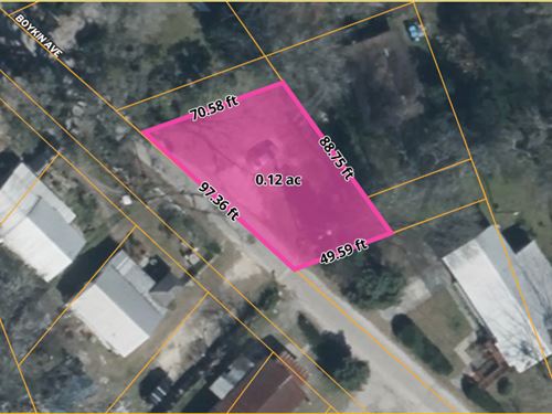 Budget-Friendly Florida Land : Archer : Alachua County : Florida