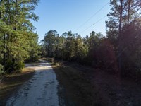 Residential Lot Near Gainesville FL : Interlachen : Putnam County : Florida