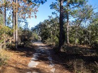 Affordable Florida Residential : Hawthorne : Putnam County : Florida