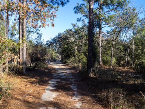 Affordable Florida Residential : Hawthorne : Putnam County : Florida