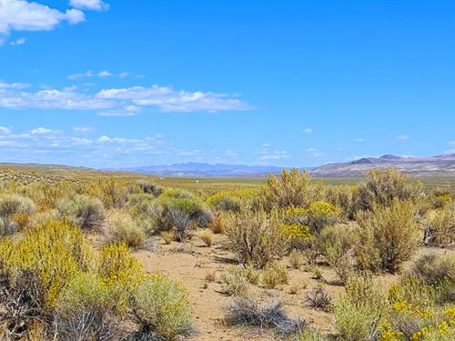 1.03 Ac Elko NV Open Space : Elko : Nevada