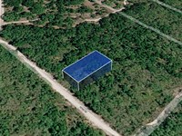 Great Cash Deal on 0.2 Acre Lot : Live Oak : Suwannee County : Florida