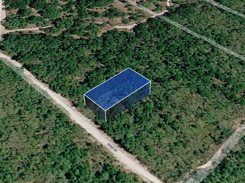 Great Cash Deal on 0.2 Acre Lot : Live Oak : Suwannee County : Florida