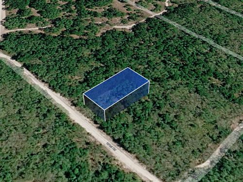 Great Cash Deal on 0.2 Acre Lot : Live Oak : Suwannee County : Florida