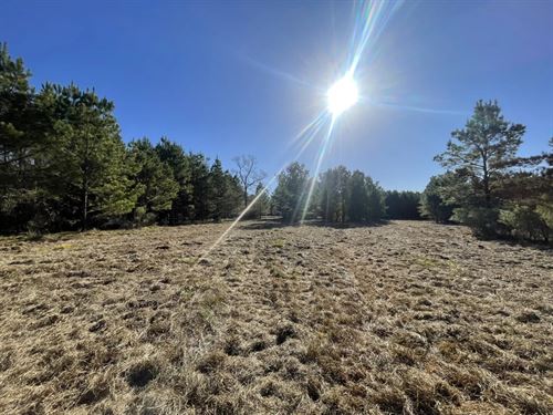 Unrestricted Homsites Near Lake : Livingston : Polk County : Texas