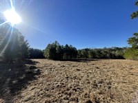 Unrestricted Homsites Near Lake : Livingston : Polk County : Texas