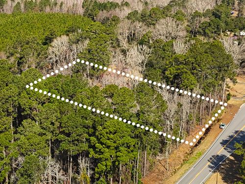 Easy Hwy Access, Owner Financing : Denmark : Bamberg County : South Carolina