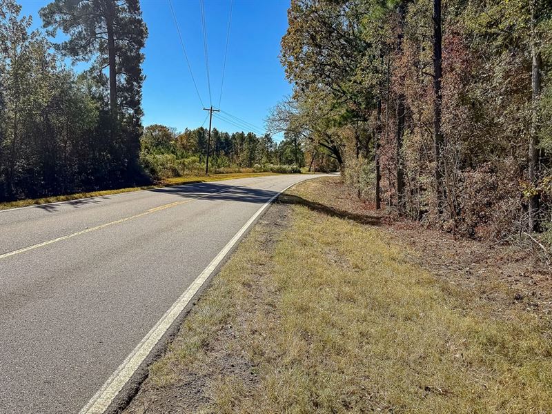 Highway 174 Tract : Pleasant Hill : Sabine Parish : Louisiana