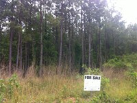 Private Hickory Hollow Farms, 3.16 : Gray Court : Laurens County : South Carolina