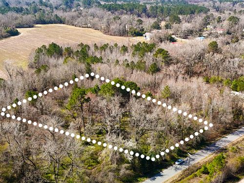 No HOA, Owner Financing, Quiet Lot : Denmark : Bamberg County : South Carolina