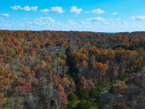 .30 Ac Near Diamond Lake AR : Horseshoe Bend : Izard County : Arkansas