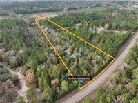 Unrestricted Homesite Near Lake : Livingston : Polk County : Texas