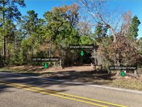 6.64Ac Unrestricted, Rv/Mobile OK : Livingston : Polk County : Texas