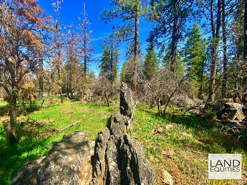 Beautiful Rocky Wooded Hilltop : Bonanza : Klamath County : Oregon