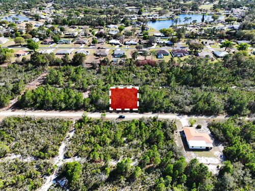 Nature, Space, and Freedom : Sebring : Highlands County : Florida