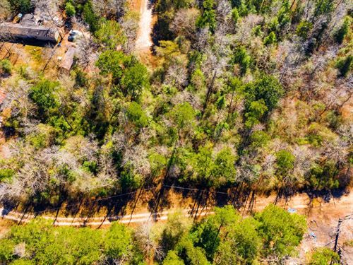 .70 Acre TX Lot Near Lake Access : Ivanhoe : Tyler County : Texas