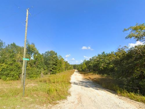 Homesite Near Lake with Road Access : Interlachen : Putnam County : Florida