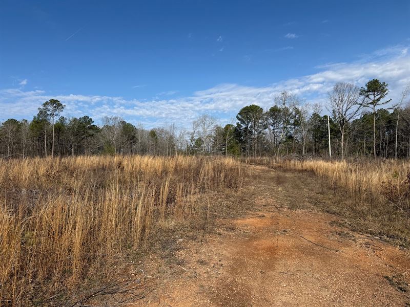 40 Acres Sylacauga, AL : Sylacauga : Talladega County : Alabama