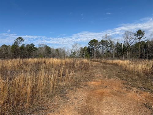 40 Acres Sylacauga, AL : Sylacauga : Talladega County : Alabama