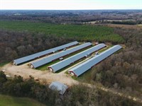 Nichols Broiler Farm : Saluda : South Carolina