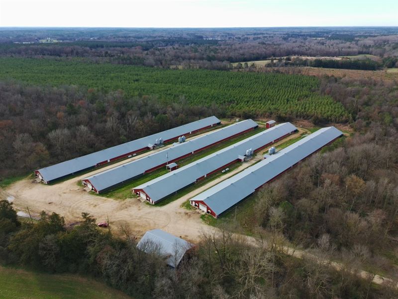 Nichols Broiler Farm : Saluda : Saluda County : South Carolina