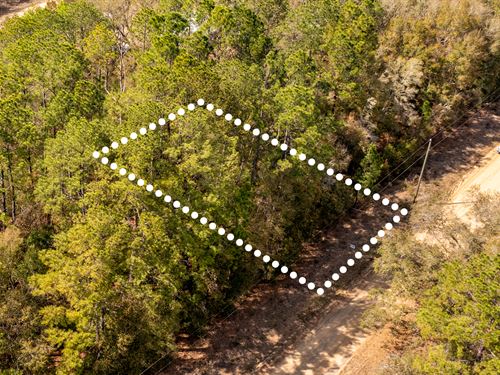 Near Lake Grandin, $1 Down, No HOA : Interlachen : Putnam County : Florida
