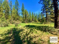Private Park Like Forest : Bonanza : Klamath County : Oregon