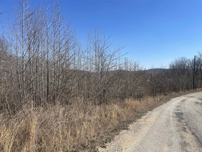 Land for Sale in TN Near Marina : Clifton : Wayne County : Tennessee