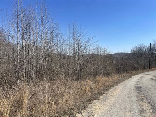 Land for Sale in TN Near Marina : Clifton : Wayne County : Tennessee