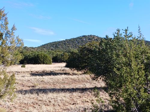 1.14 Acres in Show Low, $219 Down : Concho : Apache County : Arizona