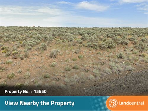 A Quarter of Beautiful Land in WA : Douglas : Washington