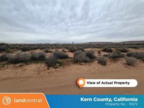 1.25 Acre CA Secluded Lot : Kern : California