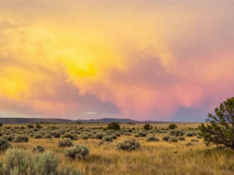 Scenic 1 Acre Near Albuquerque : Rio Rancho : Sandoval County : New Mexico