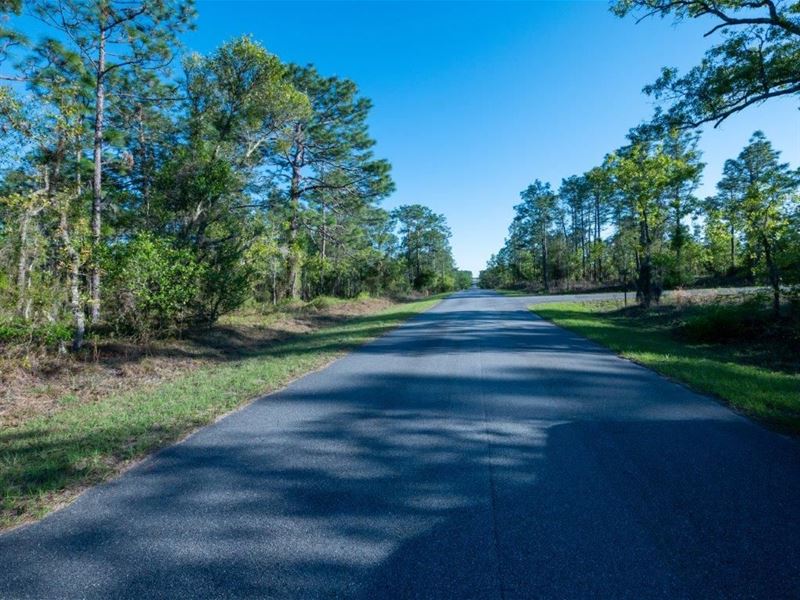 Introducing The Perfect Oasis : Dunnellon : Marion County : Florida