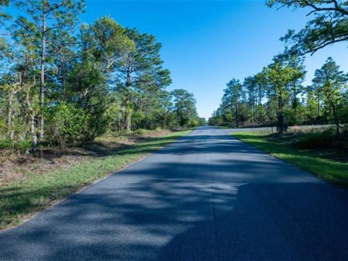 Introducing The Perfect Oasis : Dunnellon : Marion County : Florida