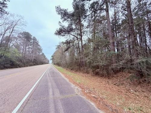 4.5 Acres, Angie, LA : Angie : Washington Parish : Louisiana