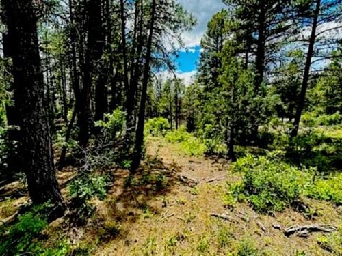 Beautiful RV Lot or Build : Pagosa Springs : Archuleta County : Colorado
