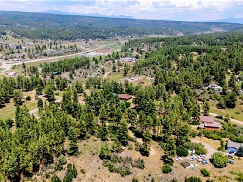 Mountain Cabin Lot, Power : Pagosa Springs : Archuleta County : Colorado