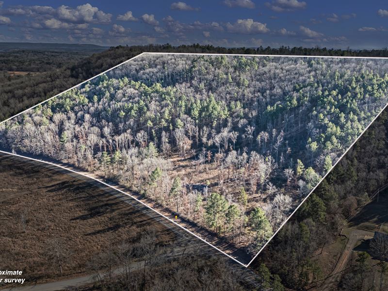 34 Acres in The Ozarks : Dover : Pope County : Arkansas