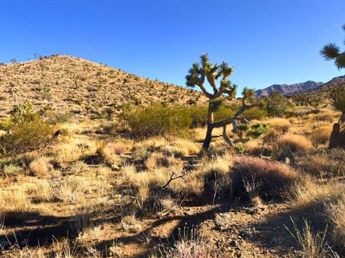 1 Acre in Mohave $99/Mo, 4X4 Access : Dolan Springs : Mohave County : Arizona