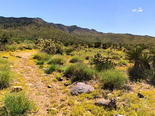 1 Acre Atv Basecamp, $99/Mo 4X4 : Dolan Springs : Mohave County : Arizona