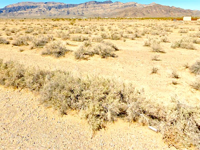 .20 Acre in North Pahrump, NV : Pahrump : Nye County : Nevada