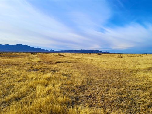 .50 Acres Luna County NM Escape : Deming : Luna County : New Mexico